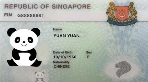  新加坡就业准证